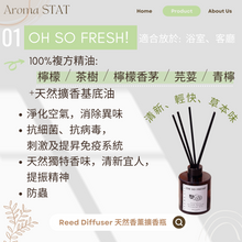 Load image into Gallery viewer, OH SO FRESH!- reed diffuser